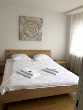 Charming 1BR flat in the city centre - West9